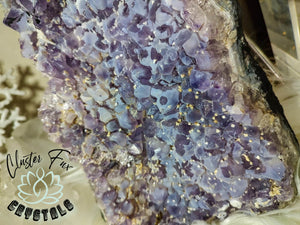 Rare Brazil Blue Amethyst Crystal Cluster