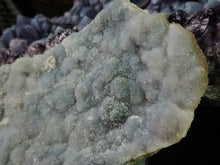 Load image into Gallery viewer, 7&quot; Flower Amethyst Crystal Cluster
