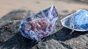 Moss Seashells w/Amethyst or Crackle Quartz & Selenite Crystals