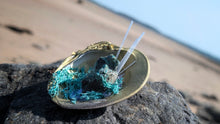 Load image into Gallery viewer, Moss Seashell w/Emerald &amp; Selenite Crystals
