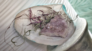 Amethyst Crystal & Artificial Moss in Seashell