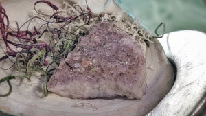 Amethyst Crystal & Artificial Moss in Seashell