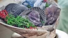 Load image into Gallery viewer, Amethyst Crystal &amp; Artificial Moss in Seashell

