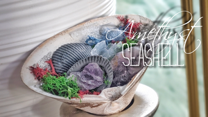 Amethyst Crystal & Artificial Moss in Seashell