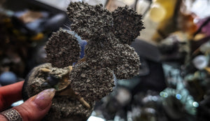 3" Peru Pyrite Gold Crystal Cluster Mini Tree