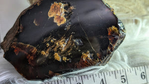 5" Rare Dark Indonesian Amber Mineral Cluster