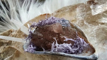 Load image into Gallery viewer, Seashells w/Amethyst or Quartz &amp; Selenite Crystals
