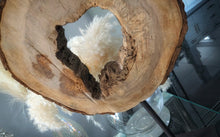 Load image into Gallery viewer, Wood Decorative Sculpture on Stand
