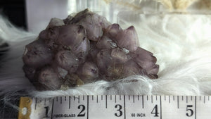 4" Thunder Bay Amethyst Crystal Cluster