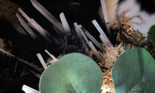 Load image into Gallery viewer, Wall Mount Pampas Grass Arrangement w/Selenite Crystal Shards
