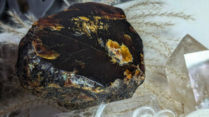 5" Rare Dark Indonesian Amber Mineral Cluster