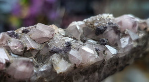5" Druzy Super 7 Amethyst Crystal Cluster
