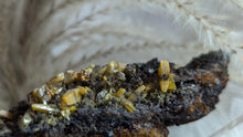 Load image into Gallery viewer, 3.5&quot; Rare Wulfenite Crystal Cluster
