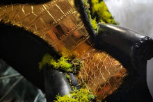 Load image into Gallery viewer, Black &amp; Gold Moss Chair on Wall Display Shelf
