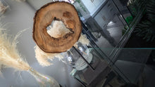 Load image into Gallery viewer, Wood Decorative Sculpture on Stand
