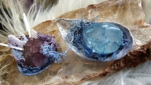 Load image into Gallery viewer, Seashells w/Amethyst or Quartz &amp; Selenite Crystals
