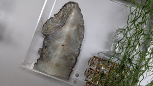 Agate Crystal Bookend w/ Gold Backing