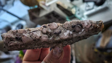 Load image into Gallery viewer, 5&quot; Druzy Super 7 Amethyst Crystal Cluster
