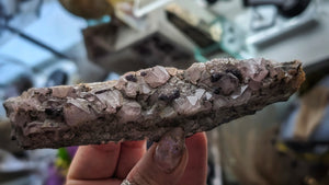 5" Druzy Super 7 Amethyst Crystal Cluster