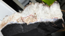 Load image into Gallery viewer, 7&quot; Citrine &amp; Goethite Quartz Crystal Cluster
