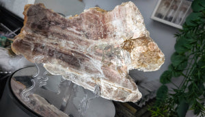 9-10" Biotite & Mica Crystal Slab w/Stand