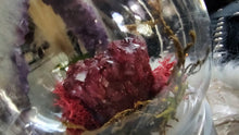 Load image into Gallery viewer, Plastic Moss Dome w/ Dyed Red Amethyst
