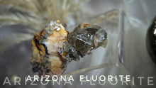 Load image into Gallery viewer, 2&quot; Rare Arizona Fluorite Crystal Cluster
