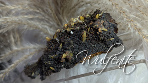 3.5" Rare Wulfenite Crystal Cluster