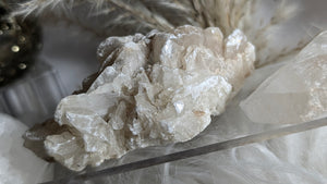 Utah Ice Selenite Crystals 2pcs