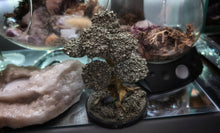 Load image into Gallery viewer, 3&quot; Peru Pyrite Gold Crystal Cluster Mini Tree
