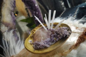 Moss Seashells w/Amethyst or Emerald & Selenite Crystals