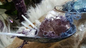 Seashells w/Amethyst or Quartz & Selenite Crystals