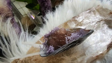 Load image into Gallery viewer, Seashells w/Amethyst or Quartz &amp; Selenite Crystals
