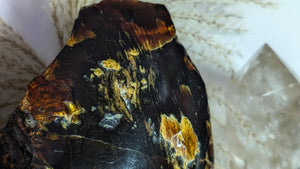 5" Rare Dark Indonesian Amber Mineral Cluster