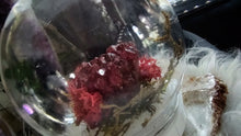 Load image into Gallery viewer, Plastic Moss Dome w/ Dyed Red Amethyst
