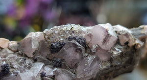 5" Druzy Super 7 Amethyst Crystal Cluster