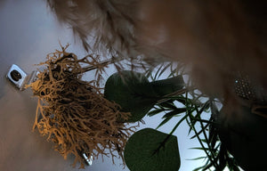 Wall Mount Pampas Grass Arrangement w/Selenite Crystal Shards