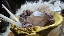 Load image into Gallery viewer, Moss Seashells w/Amethyst or Emerald &amp; Selenite Crystals
