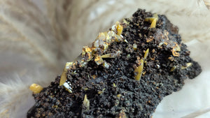 3.5" Rare Wulfenite Crystal Cluster