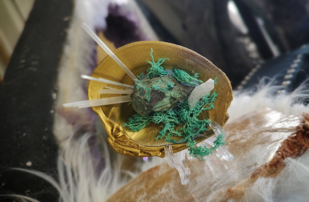 Moss Seashell w/Emerald & Selenite Crystals