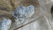 Load image into Gallery viewer, Blue Celestite Quartz Crystal Clusters 2pcs
