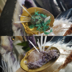 Moss Seashells w/Amethyst or Emerald & Selenite Crystals