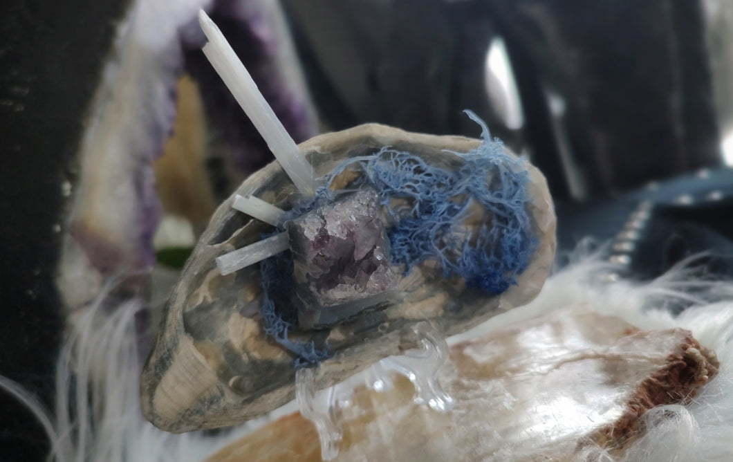 Seashell w/Amethyst & Selenite Crystals