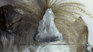 3" Clear Prasiolite Amethyst Quartz Crystal