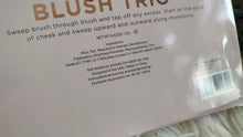 Load image into Gallery viewer, Ellen Tracy Blush Trio NEW
