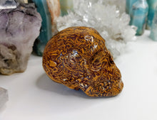 Load image into Gallery viewer, Starry Jasper Crystal Skull Carving
