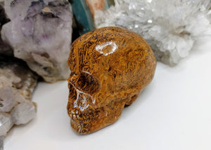 Starry Jasper Crystal Skull Carving