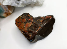 Load image into Gallery viewer, Ammolite Mineral Fossil Specimen
