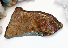 Load image into Gallery viewer, Ammolite Mineral Fossil Specimen
