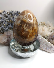 Load image into Gallery viewer, Petrified Wood Fossilized Egg with Crystal Stand
